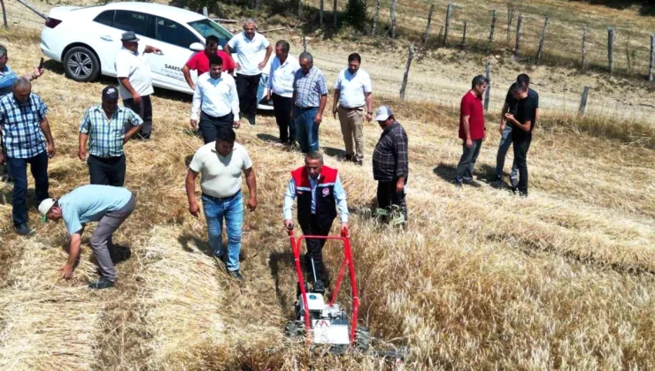 Samsun’da Organik Kavılca Buğdayı Hasadı ve Hasat Makinesi Dağıtımı Gerçekleştirildi