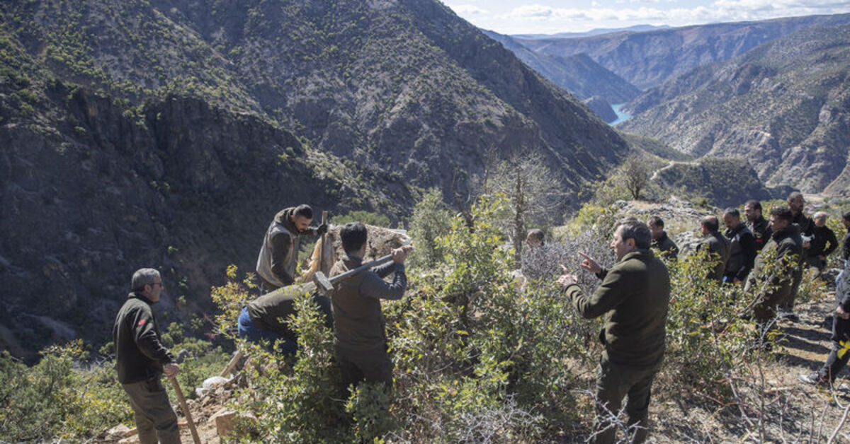 Tunceli’nin dağlarındaki “güme”ler yıkılıyor, yaban hayatı korunuyor